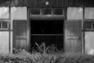 Austerlitz 04