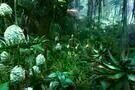 Avatar - Aufbruch nach Pandora