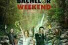 Bachelor Weekend - Plakat