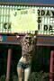 Bad Teacher 13