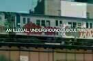 Banksy and the Rise of Outlaw Art - Trailer