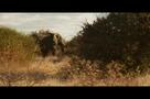 Beast - Jäger ohne Gnade - Trailer