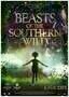 Beasts Of The Southern Wild - Plakat