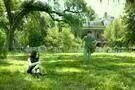 Beautiful Creatures 03