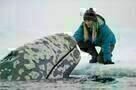 Big Miracle 1