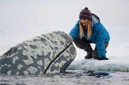 Big Miracle 1 Big Miracle 1