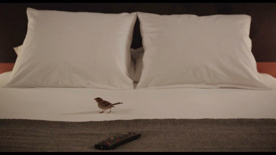 Bird People 02