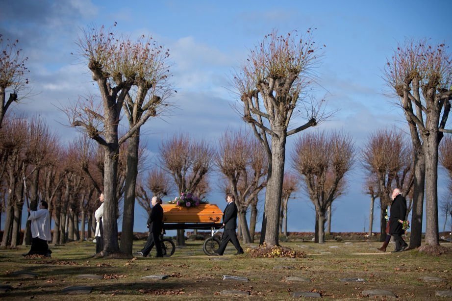 Bittere Kirschen 04