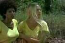 Black Mama White Mama 03
