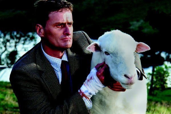Black Sheep
