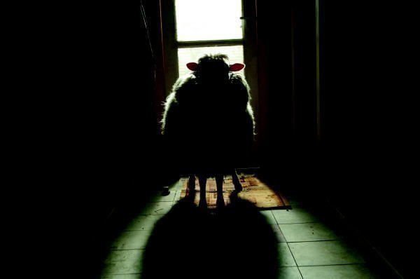 Black Sheep