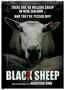 Black Sheep - Poster