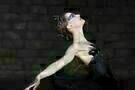 Black Swan 05