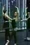 Black Swan 14