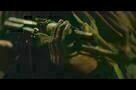 The Black Tulip - Trailer
