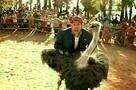 Blended Movie