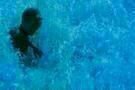 Blue Bird 3