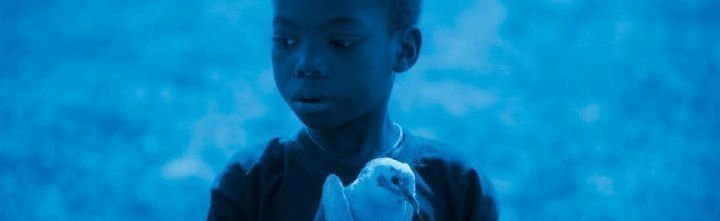 Blue Bird 4