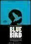 Blue Bird - Poster
