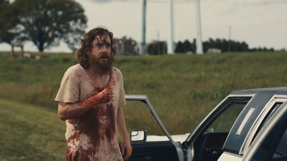 Blue Ruin 10
