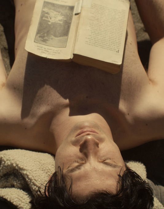 Bonsai - Poster Bonsai - Poster