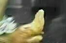Borat - Trailer