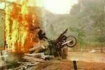 Born to Fight Born to Fight