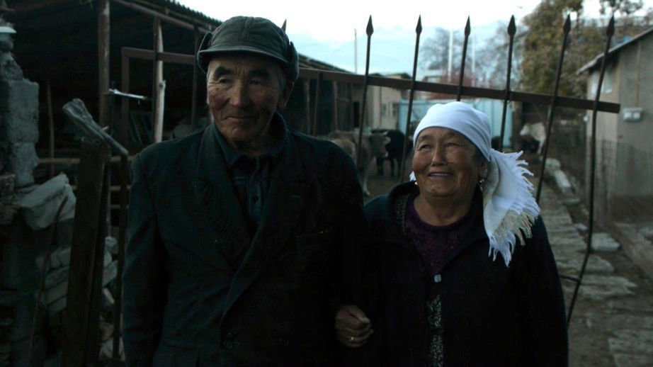 Bosteri unterm Rad 02 Bosteri unterm Rad 02