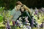 Breaking Dawn – Bis(s) zum Ende der Nacht – Teil 2