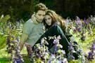 Breaking Dawn - Biss zum Ende der Nacht 2 04