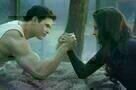 Breaking Dawn - Biss zum Ende der Nacht 2 13