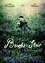 Bright Star – Meine Liebe. Ewig