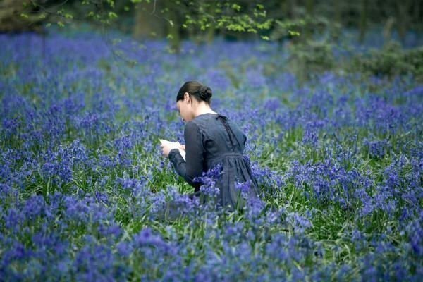 Bright Star – Meine Liebe. Ewig