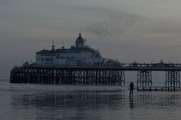 Brighton Rock 14