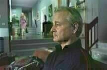 Broken Flowers