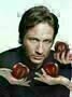 Californication