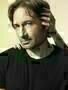 Californication