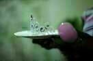 Call Me Kuchu 9