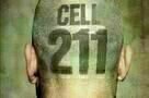 Cell 211