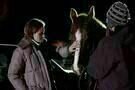 Certain Women 04