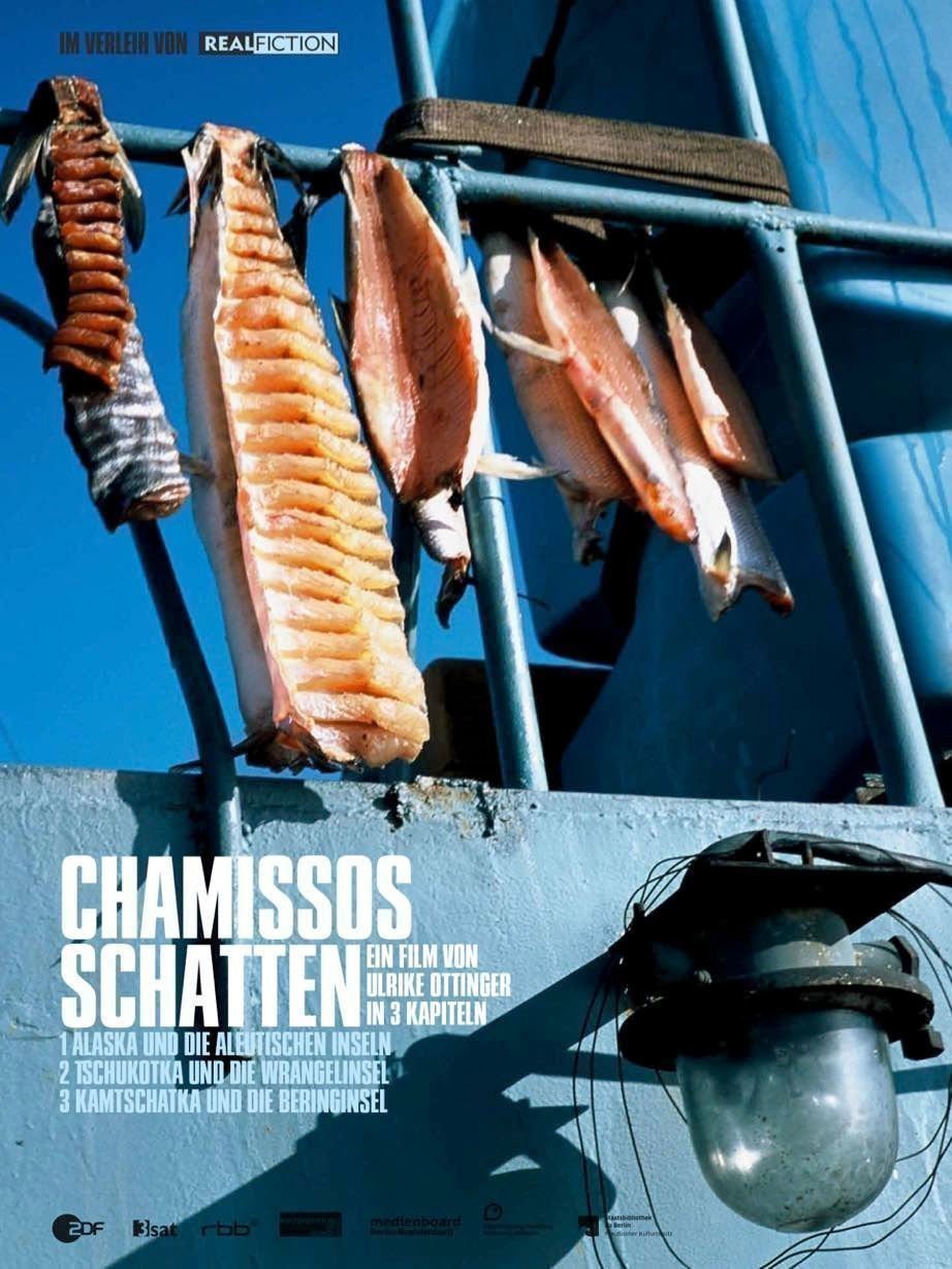 Chamissos Schatten - Plakat