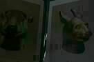 Chinese Zodiac - Trailer
