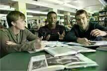 Chronicle 13