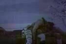 Clip 05