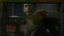 Cockfighter