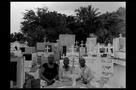 Cocote - Trailer