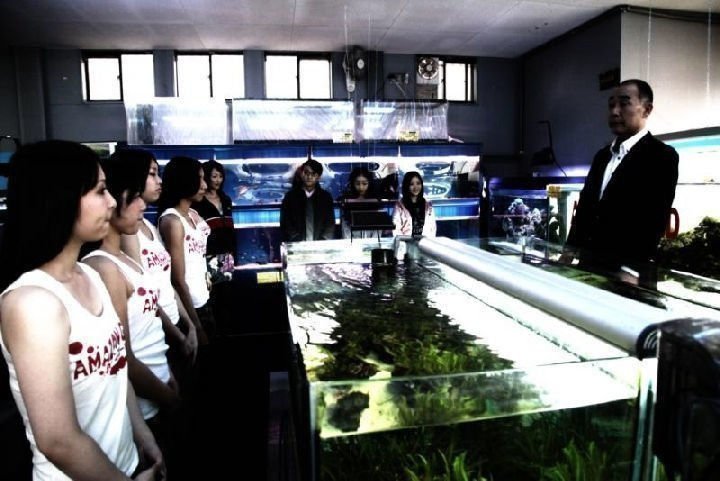 Cold Fish 8