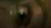 Cold Sweat - Teaser