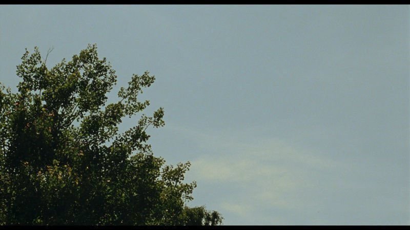 Colophon 02