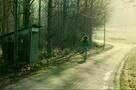 Coming Home  2